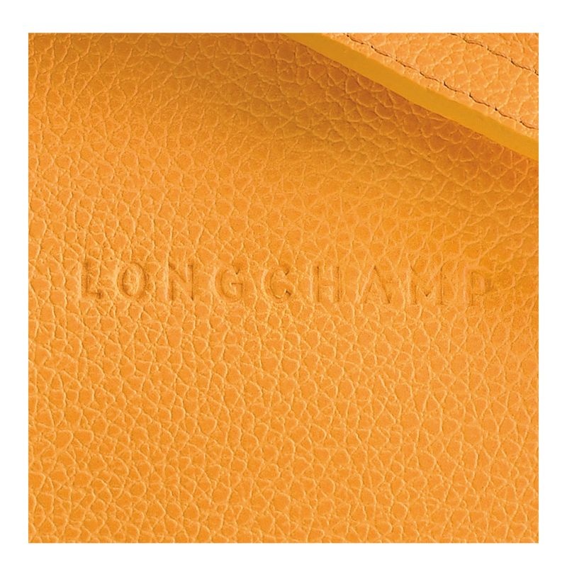 Apricot Longchamp Le Foulonné S Women's Crossbody Bags | 7940-YZBPG