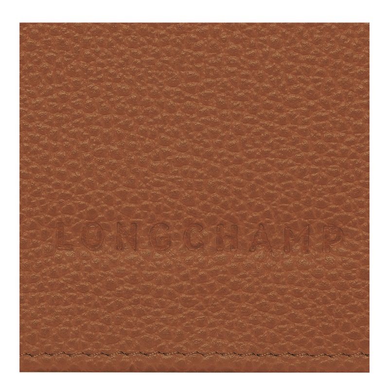 Brown Longchamp Le Foulonné Continental Women's Wallet | 3672-SRVXG