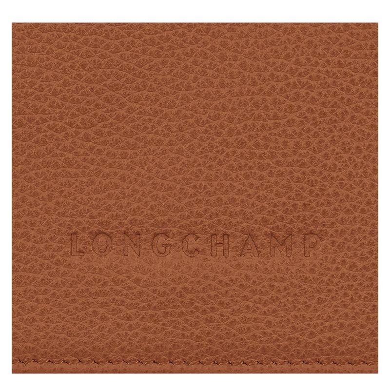 Brown Longchamp Le Foulonné Women's Wallet | 8296-VZRMF