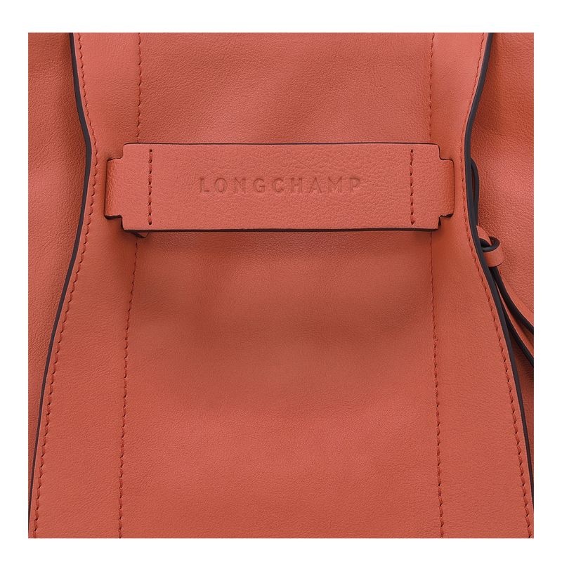 Orange Longchamp 3D S Women's Crossbody Bags | 6183-WDQCU